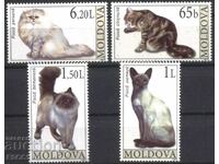 Чисти марки  Фауна Котки  2007 от  Молдова