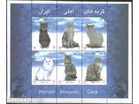 Καθαρίστε σηματοδοτεί μια μικρή γάτες φύλλο 2004 από το Ιράν