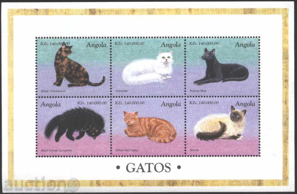 Καθαρίστε γάτες μπλοκ 1998 από την Αγκόλα