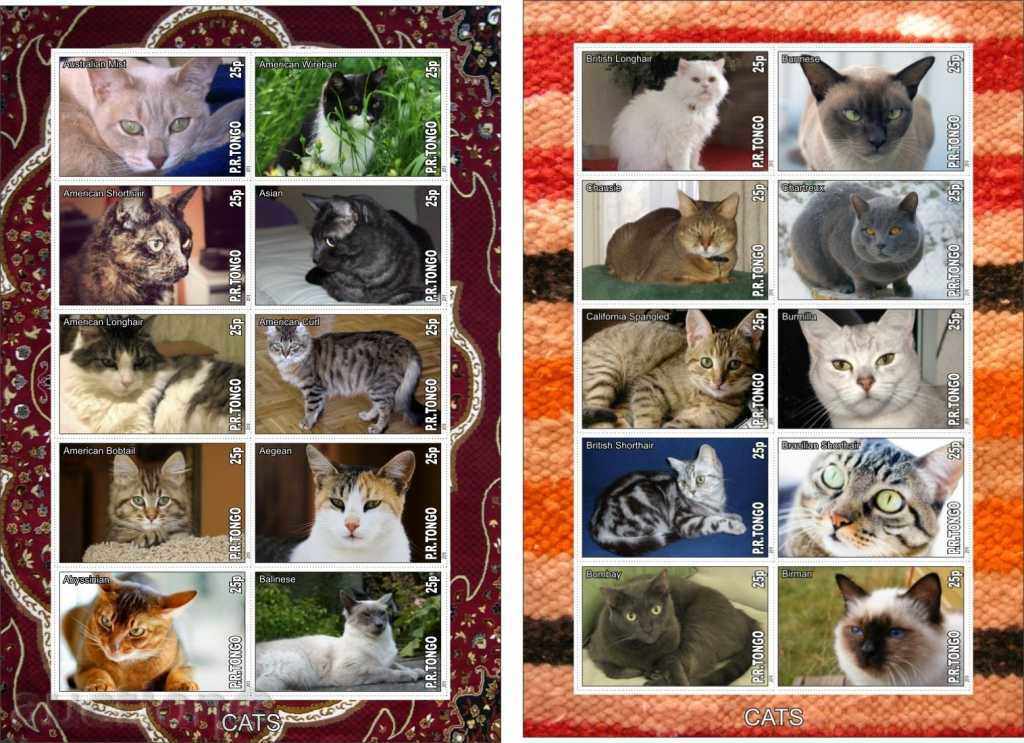 7 Clean Cats Block 2010 from Tongo with price 49.00 BGN | € 25.05 7 Clean Cats Block 2010 from Tongo with price 49.00 BGN | € 25.05