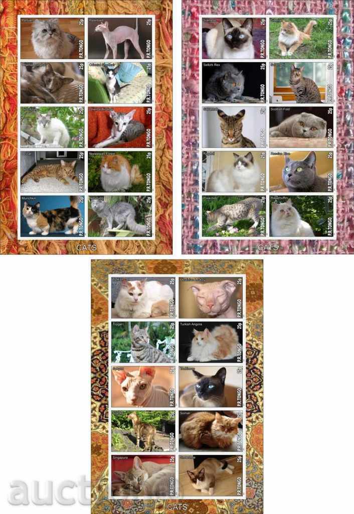 Delivery of 7 Clean Cats Block 2010 from Tongo Delivery of 7 Clean Cats Block 2010 from Tongo