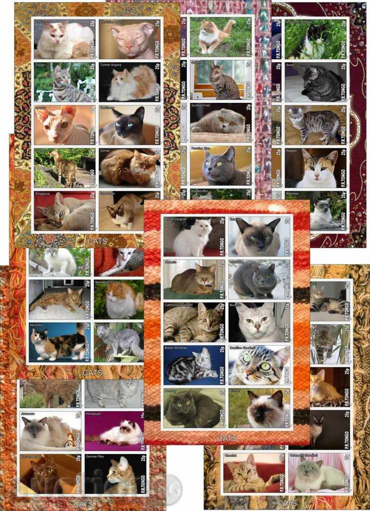 7 Καθαρά γάτες μπλοκ 2010 από το Τόνγκο
