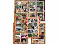 7 Καθαρά γάτες μπλοκ 2010 από το Τόνγκο