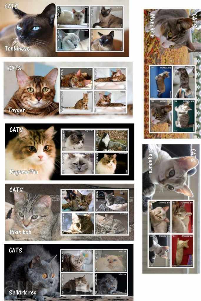 Auction  21 Clean Blocks Cats 2012 from Tongo