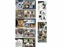 21 Καθαριότητα γάτες μπλοκ 2012 από το Τόνγκο