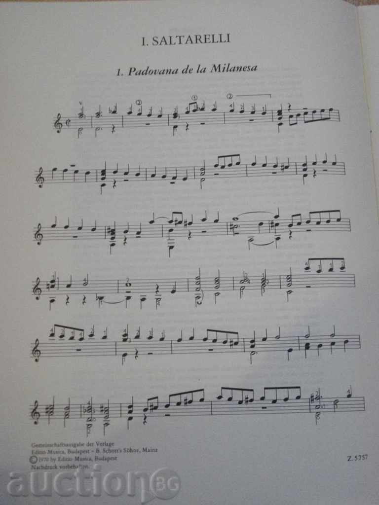 Delivery of The book "SALTARELLI, CANZONI E FANTASIE per chitarra" - 24 p. Delivery of The book "SALTARELLI, CANZONI E FANTASIE per chitarra" - 24 p.