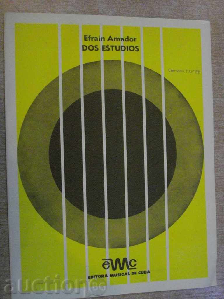 The book "DOS ESTUDIOS - Efrain Amador" - 5 p.