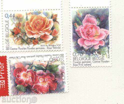 Чисти марки Рози 2005 от Белгия