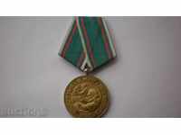 Medal 30 yo. Overpass over Fascist Germany