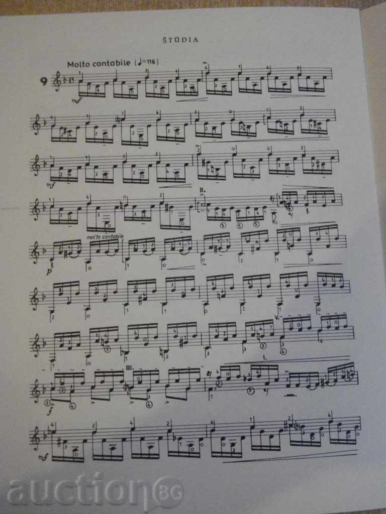 Auction The book "Lectures for Young Guitarists" - 28 pp. Auction The book "Lectures for Young Guitarists" - 28 pp.