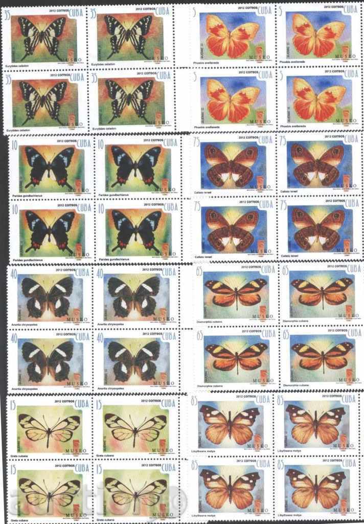 Pure brands in Butterfly box 2012 Cuba with price 43.50 BGN | € 22.24 Pure brands in Butterfly box 2012 Cuba with price 43.50 BGN | € 22.24