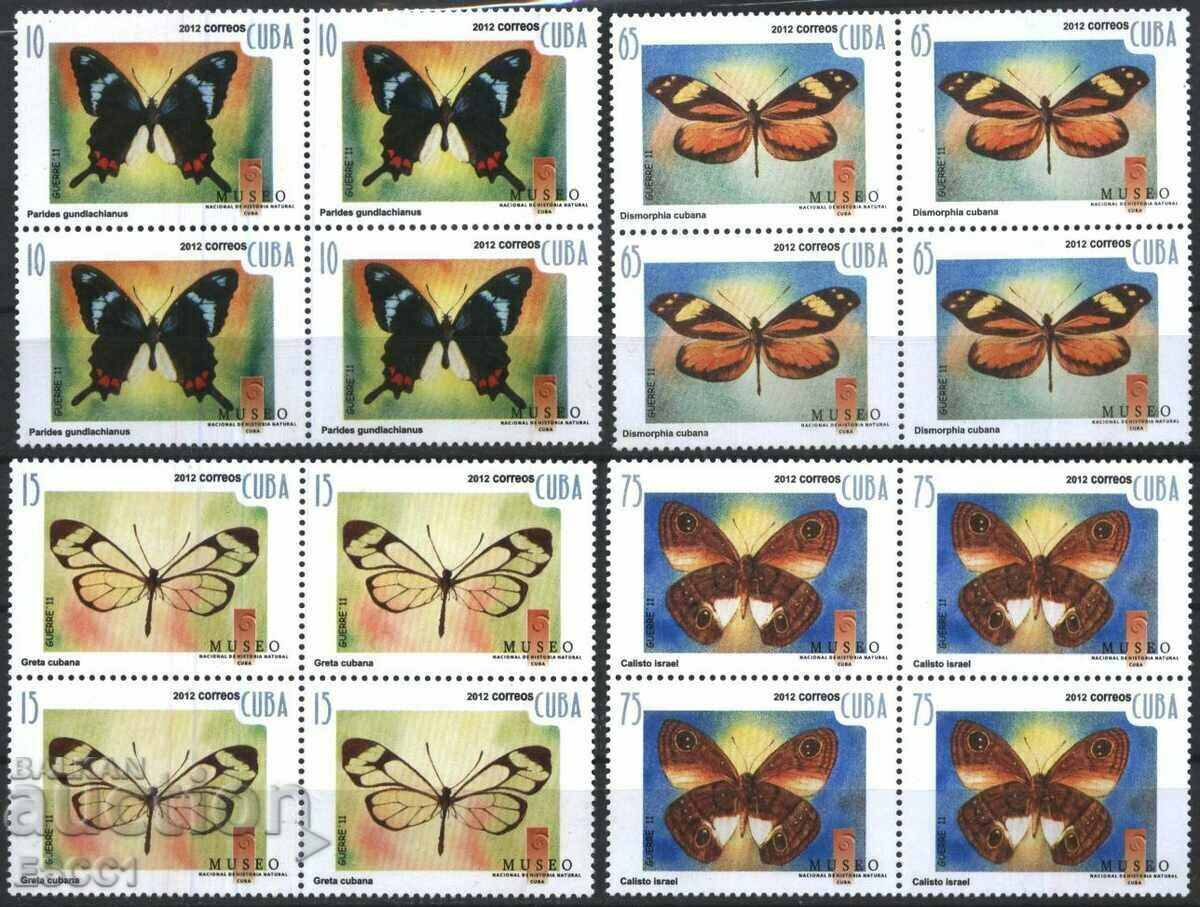 Auction Pure brands in Butterfly box 2012 Cuba Auction Pure brands in Butterfly box 2012 Cuba