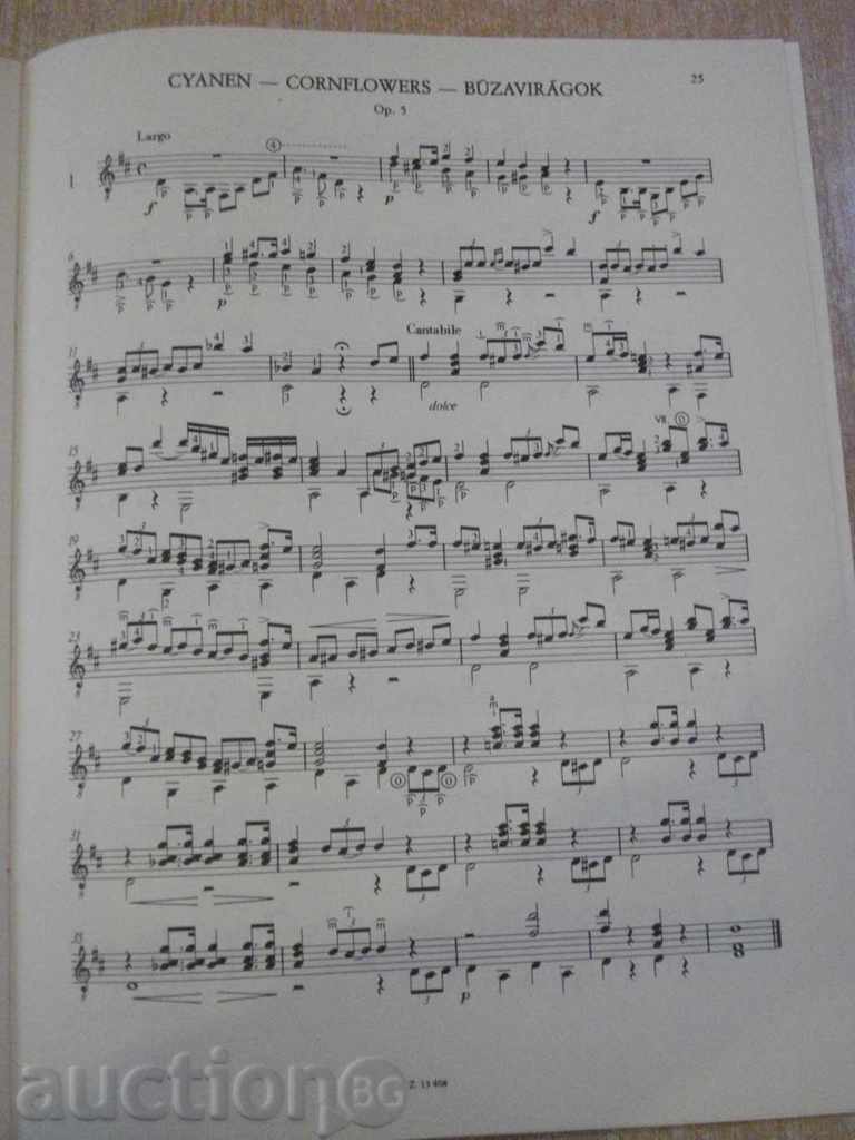 Book "GYAKORLATOK ÉS KÖNNYŰ STÍLUSTANULMÁNYOK GITÁRRA" -28str - 5