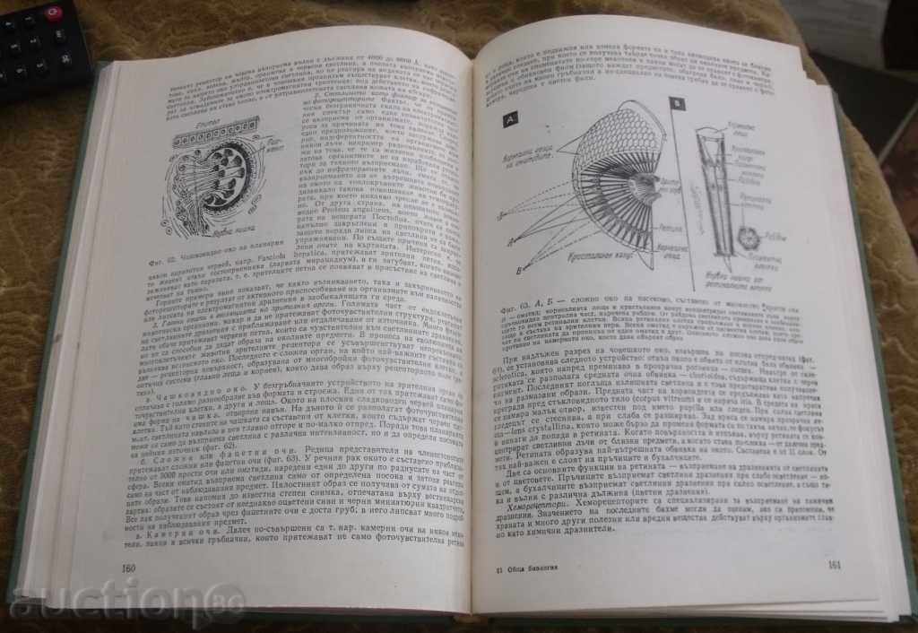 Auction GENERAL BIOLOGY Auction GENERAL BIOLOGY