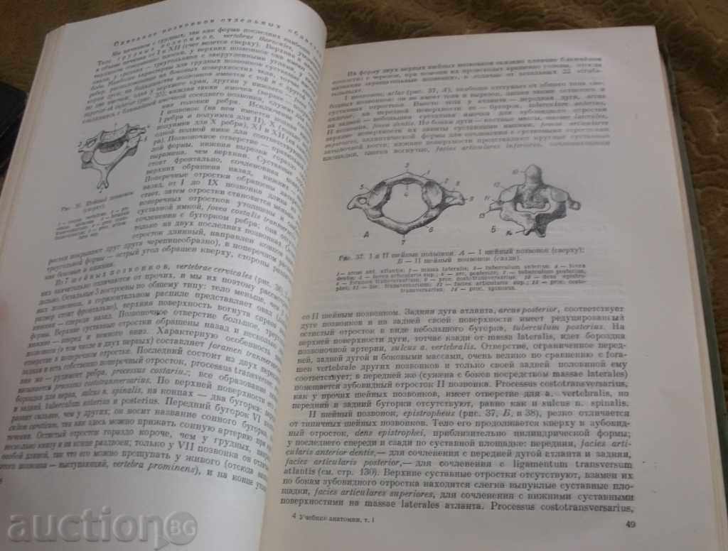 Παράδοση UCHEBNIK ανατομία-1953 Παράδοση UCHEBNIK ανατομία-1953