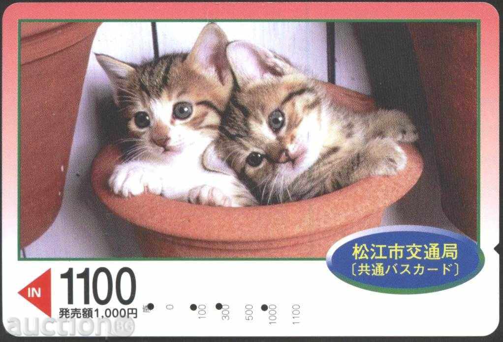 Pisici de transport (cale ferată) card din Japonia TK6