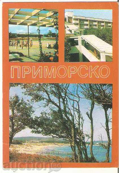 Carte poștală Bulgaria Primorsko 7 *