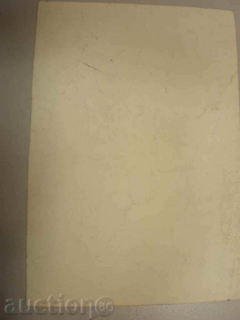 Auction ink painting. Auction ink painting.