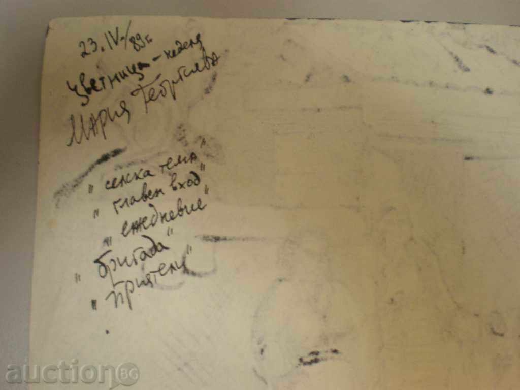 Licitație pictura cu cerneală. Maria Georgieva. Licitație pictura cu cerneală. Maria Georgieva.