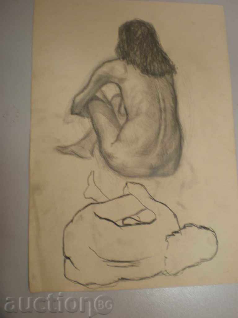 creion imagine creion imagine