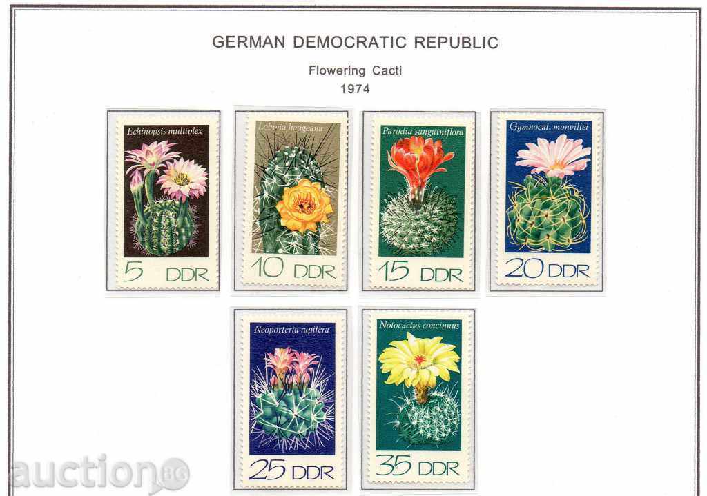 1974. GDR. Cactus - second edition.