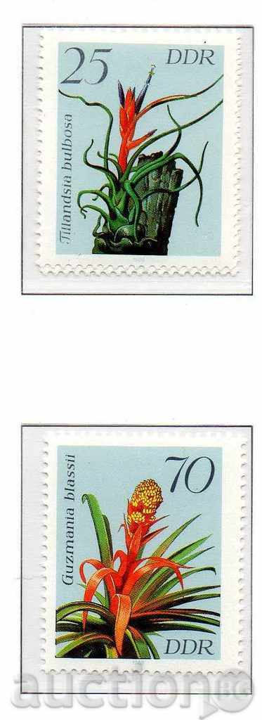 1988. GDR. Tropical plants. with price 1.00 BGN | € 0.51 1988. GDR. Tropical plants. with price 1.00 BGN | € 0.51