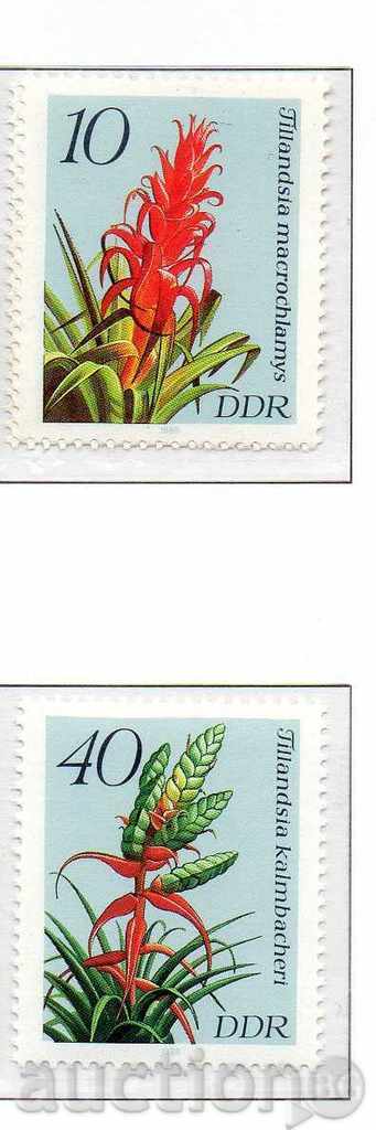 1988. GDR. Tropical plants.