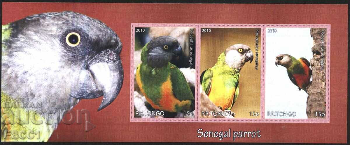 Clean block Parrots 2010 from Tongo