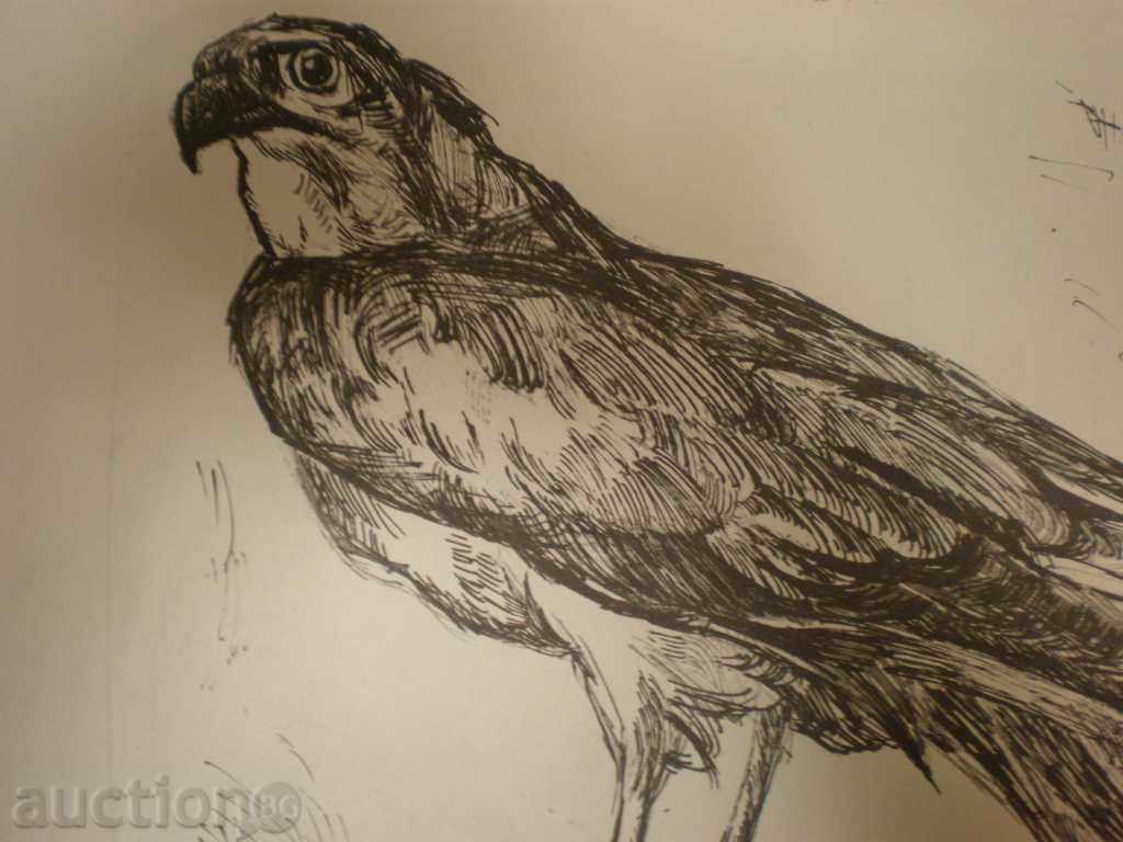 picture-print. with price 50.00 BGN | € 25.56 picture-print. with price 50.00 BGN | € 25.56