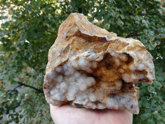 Δημοπρασία αχάτη - Τσίχλα Δημοπρασία αχάτη - Τσίχλα