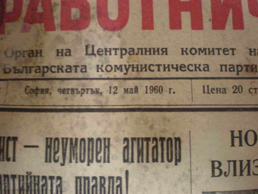 oil painting, cardboard, - 5 oil painting, cardboard, - 5