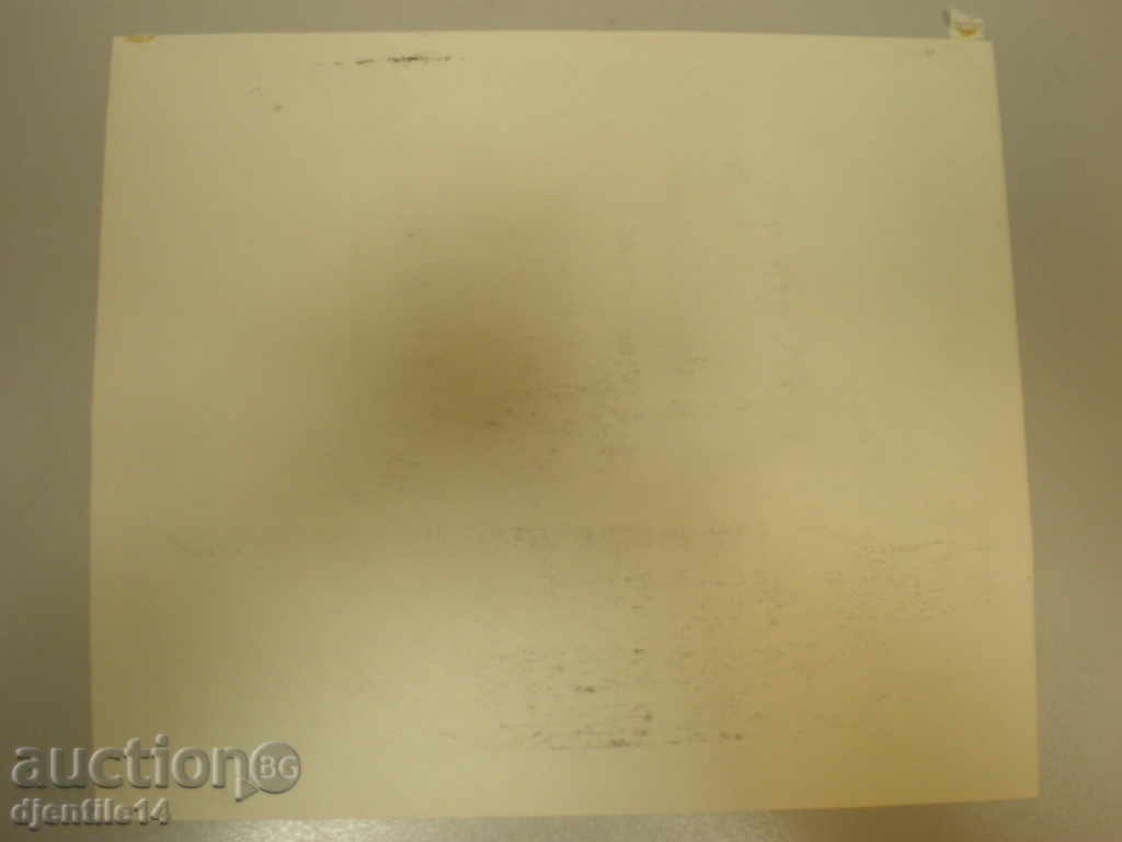 Auction  painting - print - Ralitsa Nikolova - 65 years old.