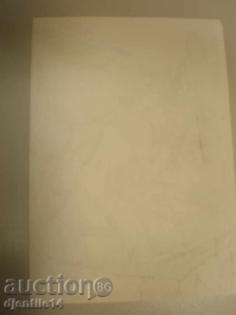 Доставка на Рисунка туш-Светлозар Пирински. Доставка на Рисунка туш-Светлозар Пирински.