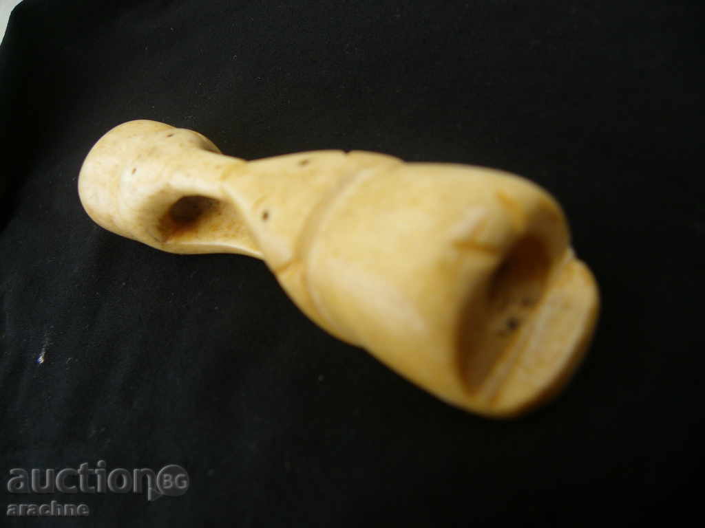 A rare item of crocodile bone - 5 A rare item of crocodile bone - 5