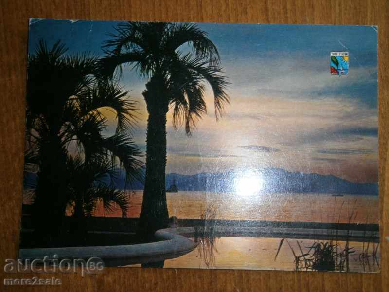 Postcard COTE D'AZUR FRANCE - FRENCH RIVIERA- 1980