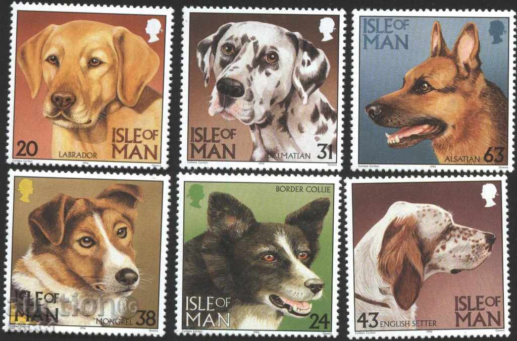 Pure Dog Marks 1996 from the Isle of Man