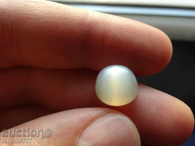 adular cu preț 34.50 BGN | € 17.64 adular cu preț 34.50 BGN | € 17.64