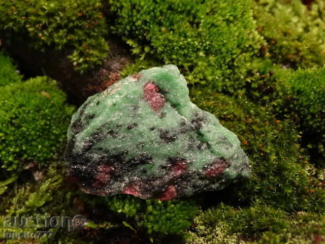 zosit with price 45.00 BGN | € 23.01 zosit with price 45.00 BGN | € 23.01