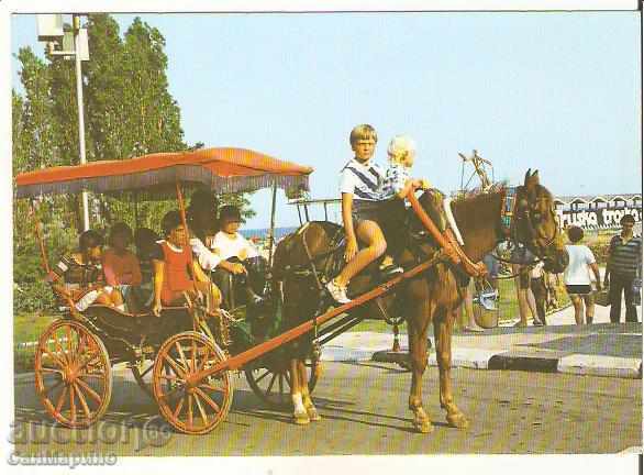 Καρτ ποστάλ Βουλγαρία Βάρνα Golden Sands Δείτε 24 *