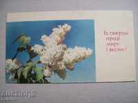 Поздравителна пощенска картичка