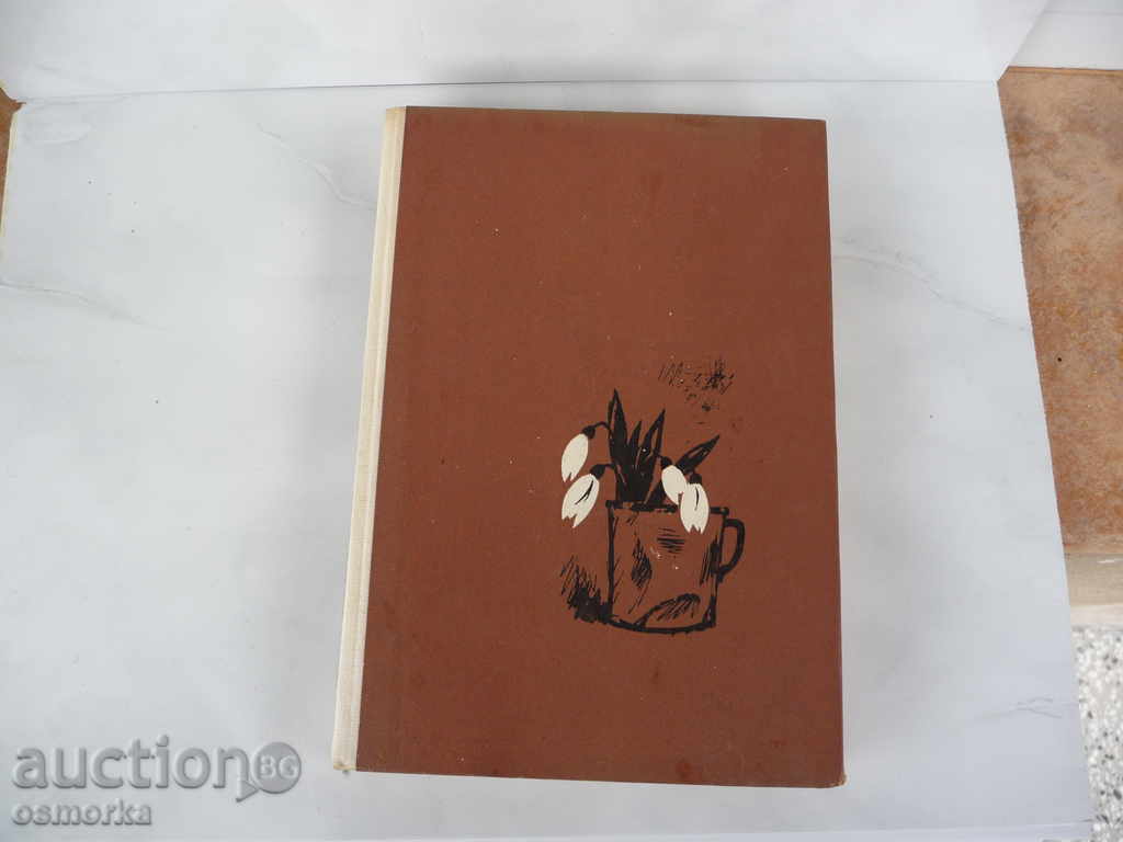 Under the shadow of the gallows - Tsvetan Dankin with price 8.00 BGN | € 4.09 Under the shadow of the gallows - Tsvetan Dankin with price 8.00 BGN | € 4.09