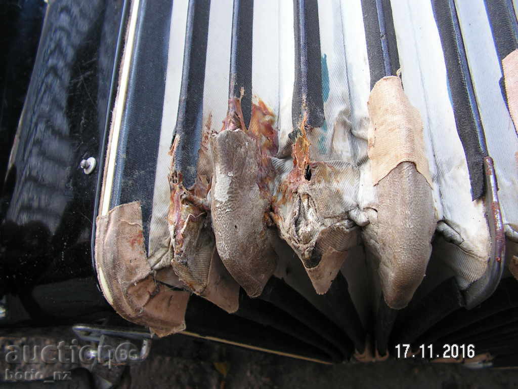 7030. ακορντεόν 40 BASA - 6 7030. ακορντεόν 40 BASA - 6