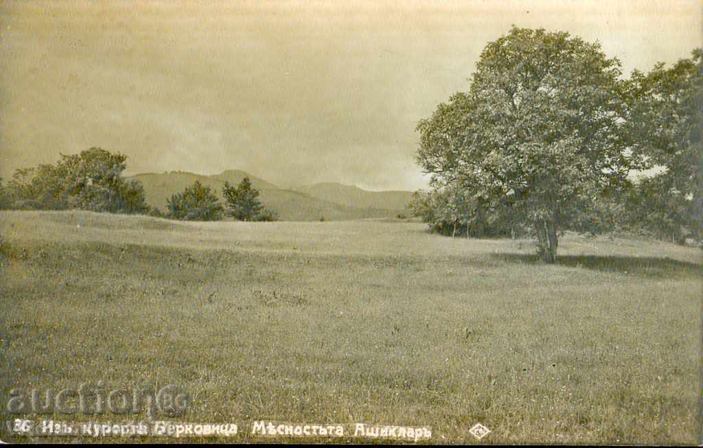 CARTE POȘTALĂ vedere STAȚIUNE - BERKOVIȚA