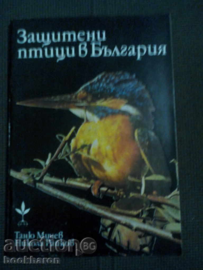 Tanyu Mitchev / Nikola Raykov: Protected birds in Bulgaria