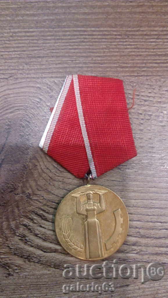 MEDAL 25 YEARS LEGAL AUTHORITY NRB