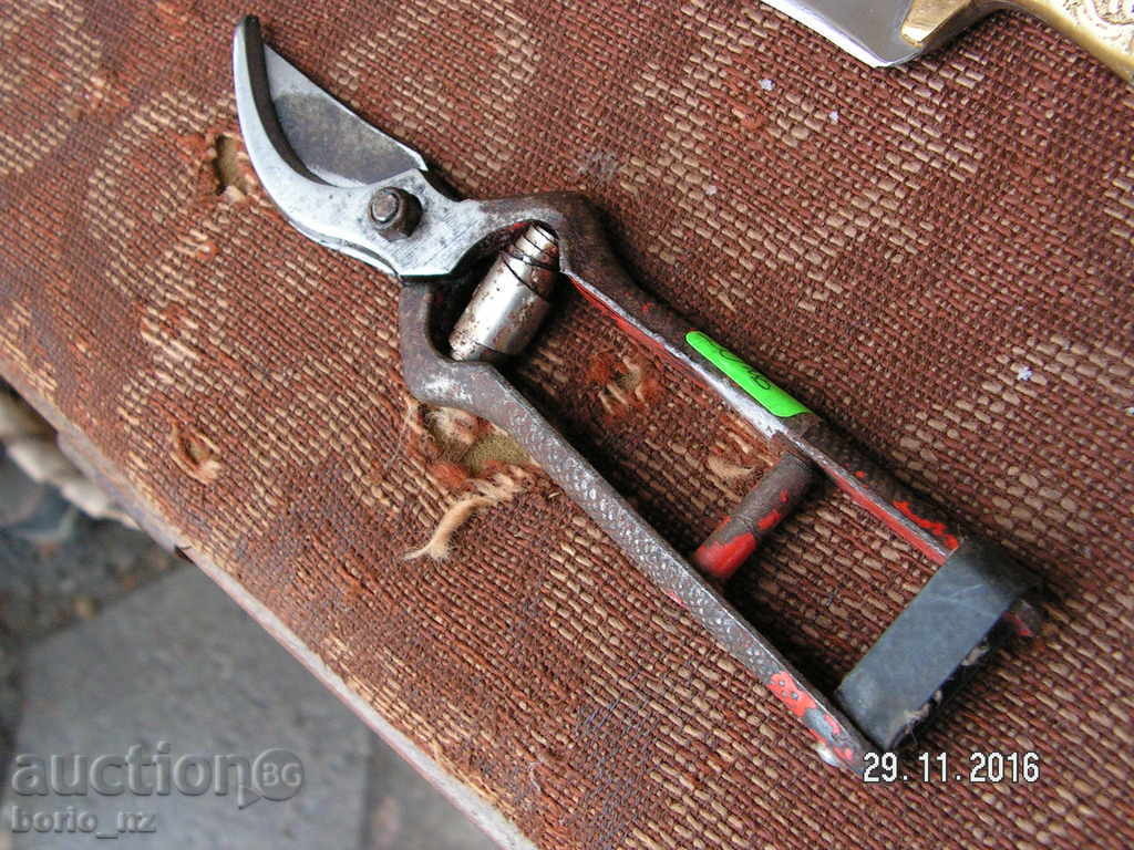 Auction 7141. STAR SMALL HORSE BARRELY REMOVED R Auction 7141. STAR SMALL HORSE BARRELY REMOVED R