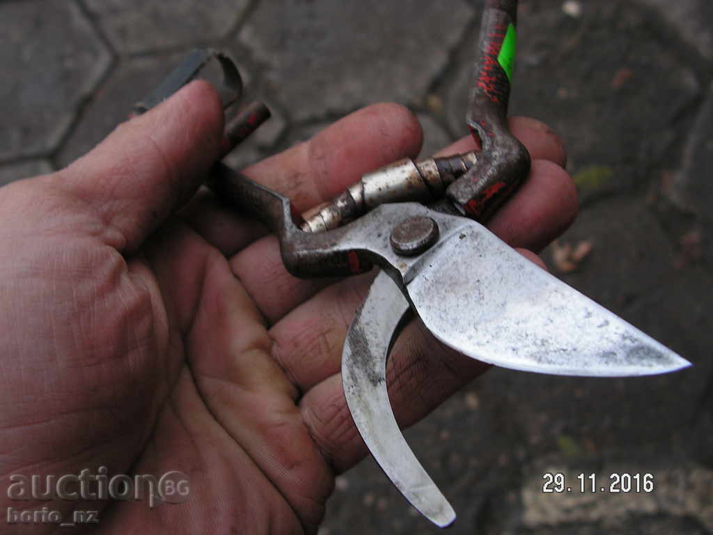 Delivery of 7141. STAR SMALL HORSE BARRELY REMOVED R Delivery of 7141. STAR SMALL HORSE BARRELY REMOVED R