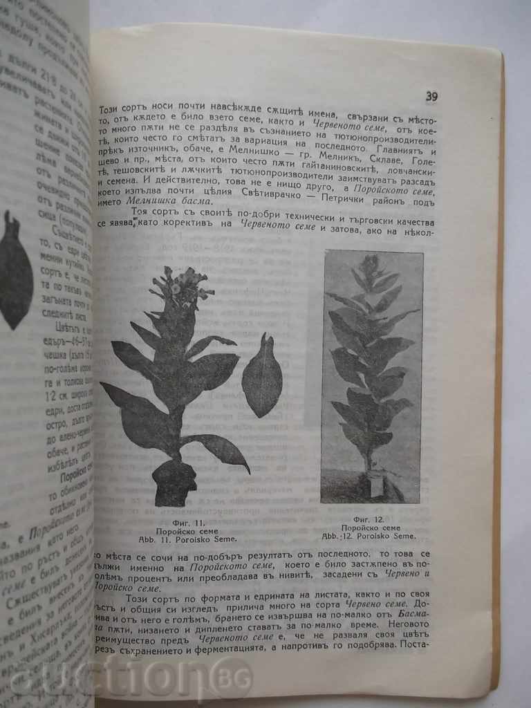 Auction Studies on the Variety of Tobacco in Nevrokopsko Auction Studies on the Variety of Tobacco in Nevrokopsko