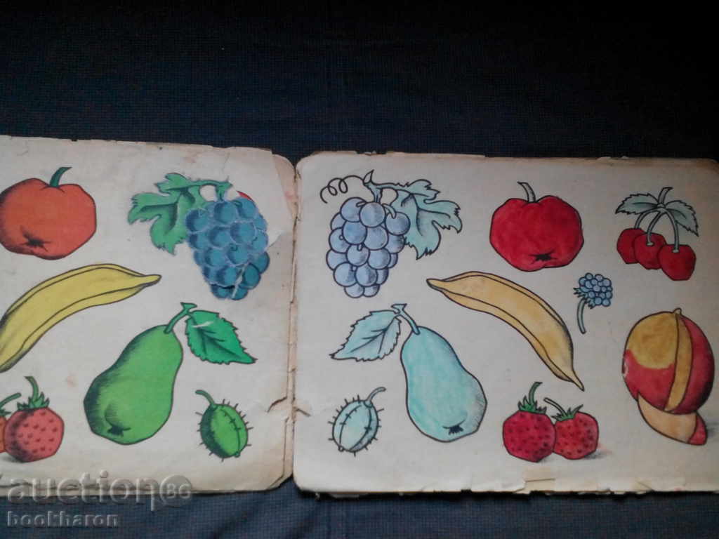 Auction An old coloring book from before 1944 (colored) Auction An old coloring book from before 1944 (colored)