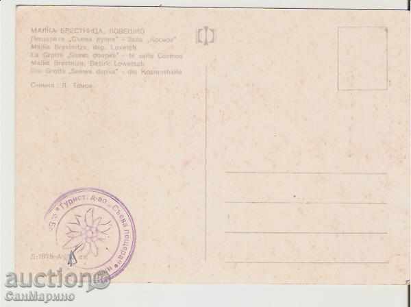 Bulgaria Map Cave "Saeva Dupka" 3 * with price 0.80 BGN | € 0.41 Bulgaria Map Cave "Saeva Dupka" 3 * with price 0.80 BGN | € 0.41